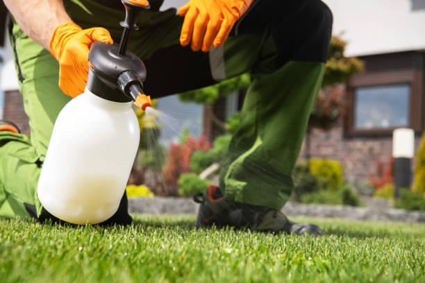 Best Cockroach Control Services  in West Park, CA