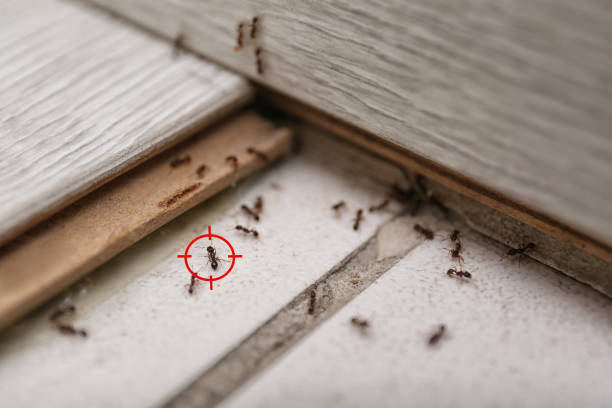 Best Commercial Pest Control Services  in West Park, CA