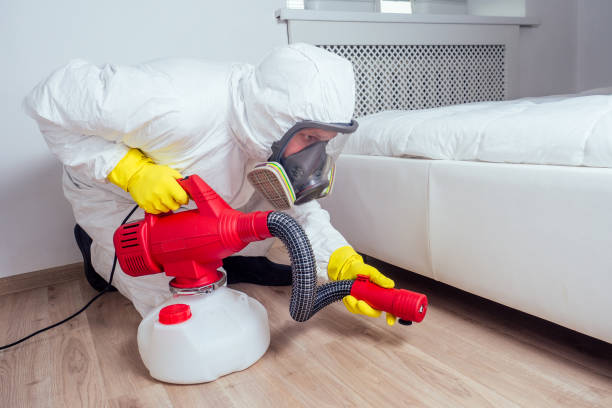 Best Pest Removal Services  in West Park, CA