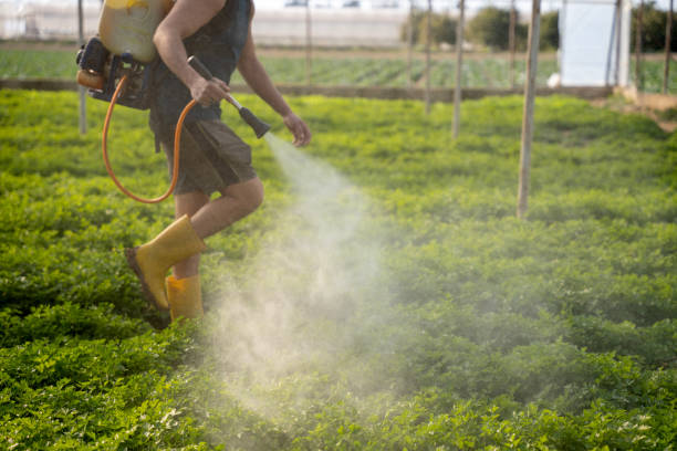 Best Emergency Pest Control  in West Park, CA